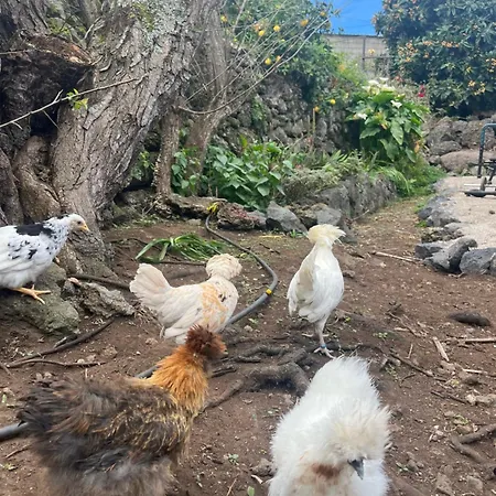 Casas Asomada * El Tanque