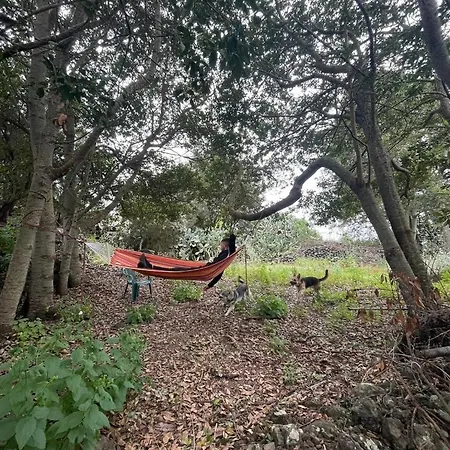 Casas Asomada * El Tanque