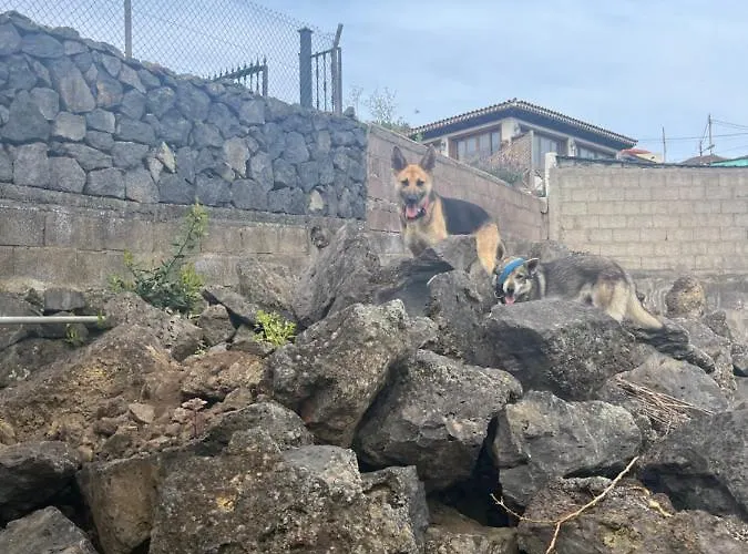 Tatil Evi Casas Asomada