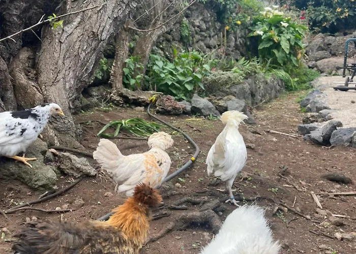 Casas Asomada * El Tanque